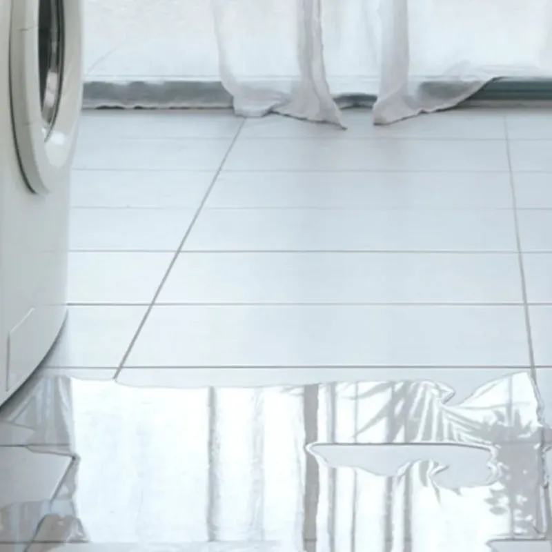 Appliance Leak Cleanup in Hodgkins, IL