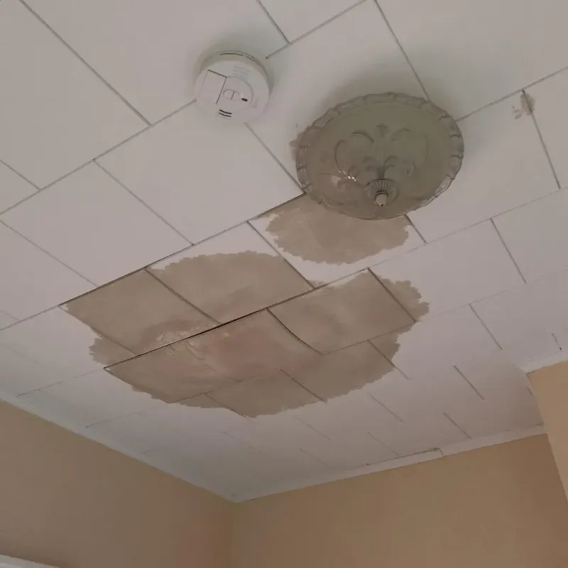 Ceiling Water Damage Repair in Hodgkins, IL