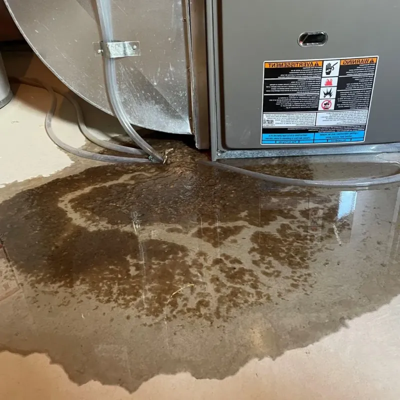Pipe Burst and Leak Restoration in Hodgkins, IL