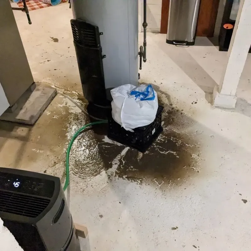 Sewage Backup Cleanup Service in Hodgkins, IL